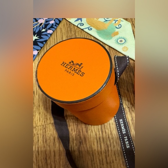 Hermes Sous Le Charme D'Orphee Twilly in Bleu Noir / Jeune Soufre / Rose - Picture 4 of 5